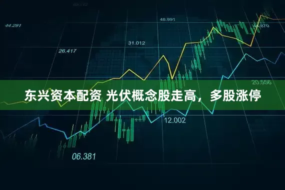 东兴资本配资 光伏概念股走高，多股涨停