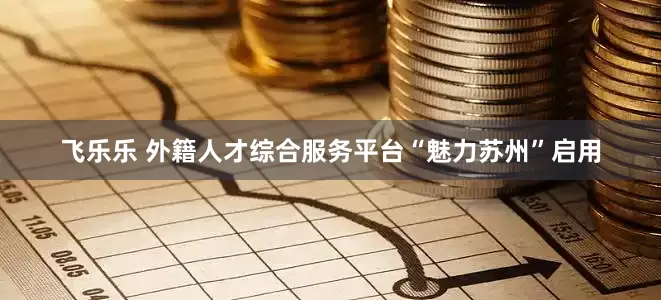 飞乐乐 外籍人才综合服务平台“魅力苏州”启用
