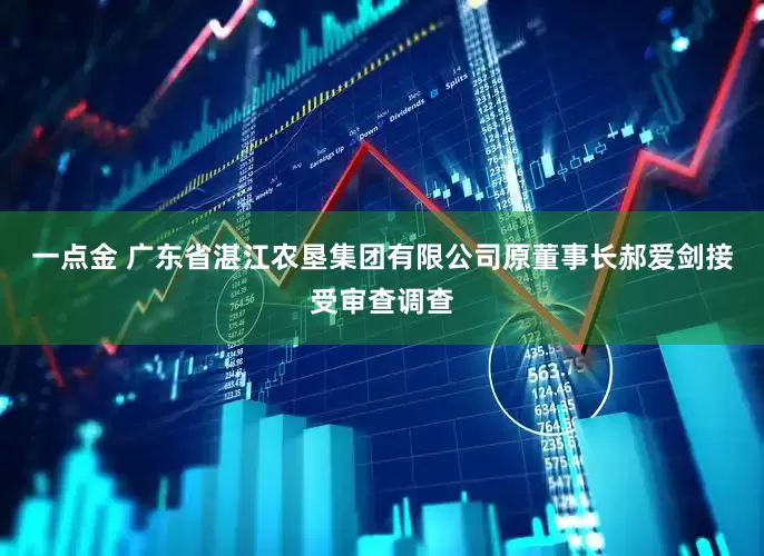 一点金 广东省湛江农垦集团有限公司原董事长郝爱剑接受审查调查
