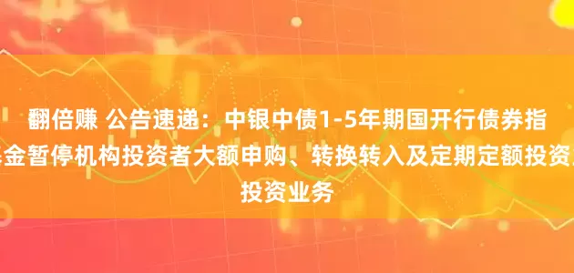 翻倍赚 公告速递：中银中债1-5年期国开行债券指数基金暂停机构投资者大额申购、转换转入及定期定额投资业务